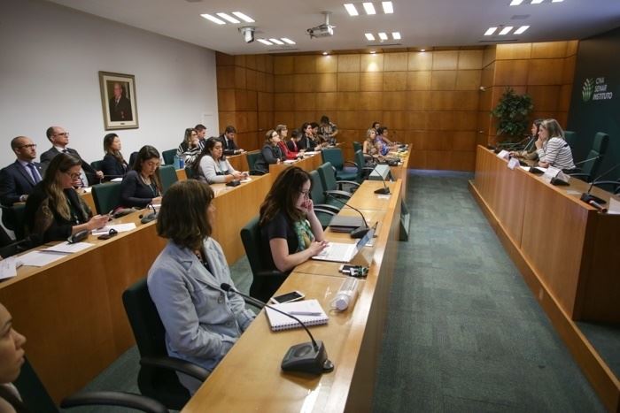 Figura 1