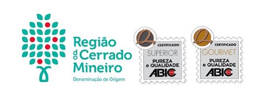 Figura 1
