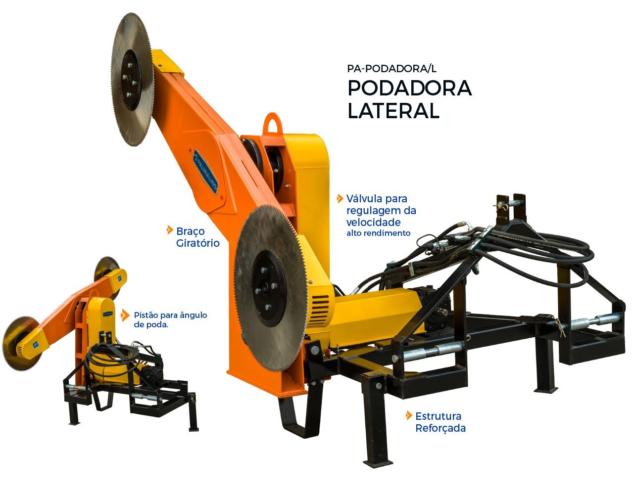 Figura 1