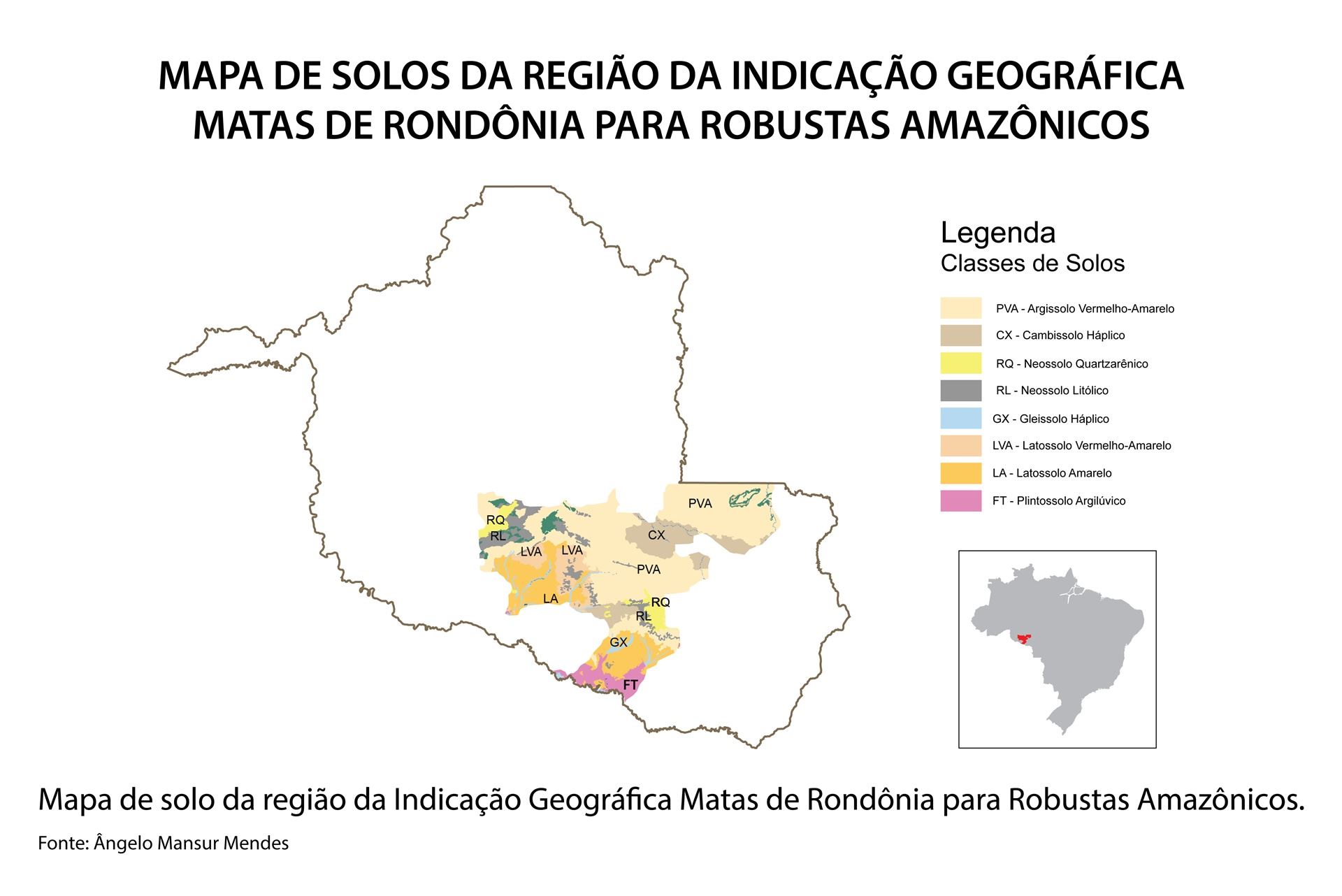 Figura 6