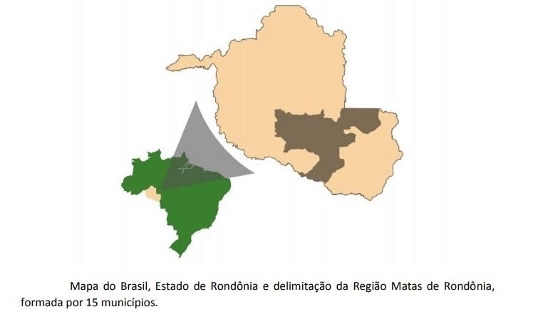 Figura 3