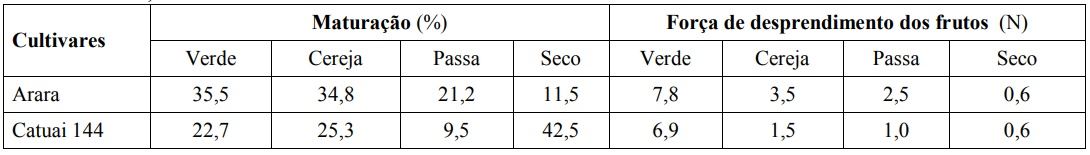 Figura 2