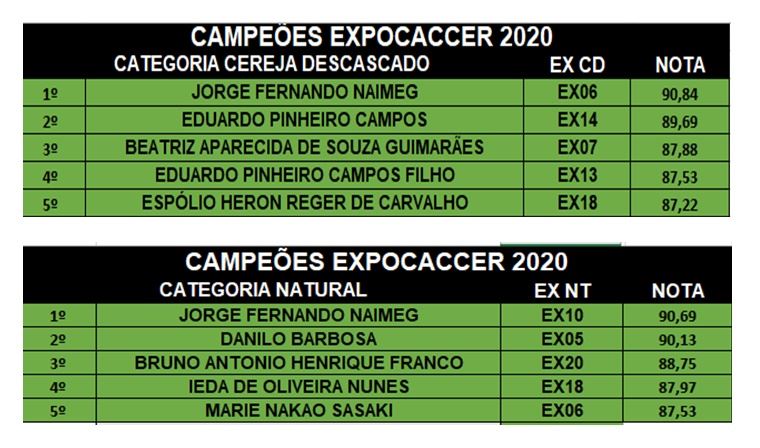 Figura 1
