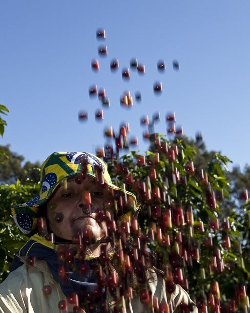 Foto: Érico Hiller/ Café Editora