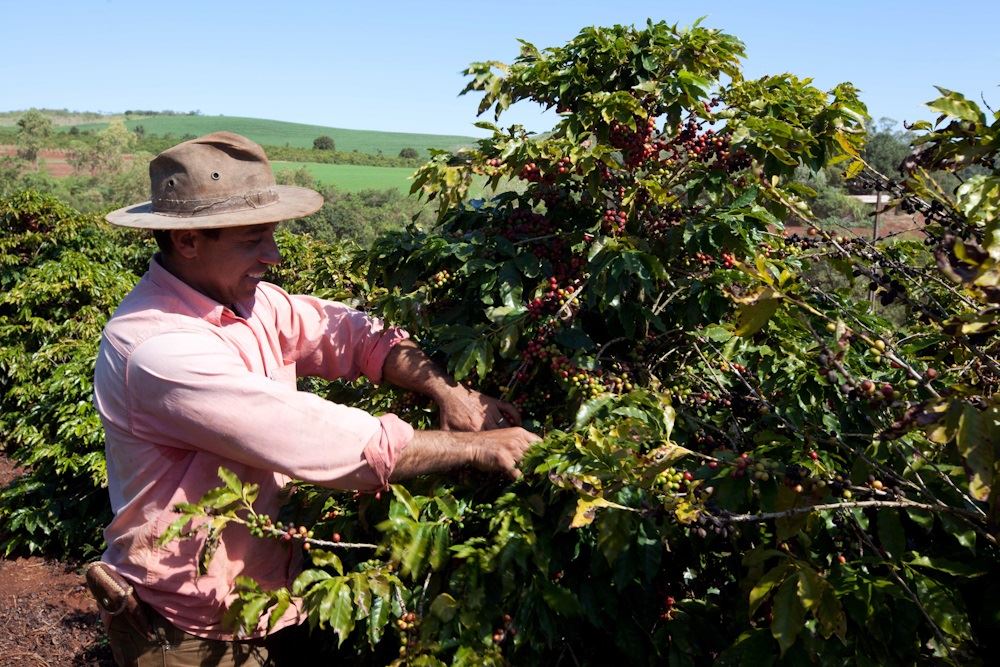 Foto: Érico Hiller/ Café Editora