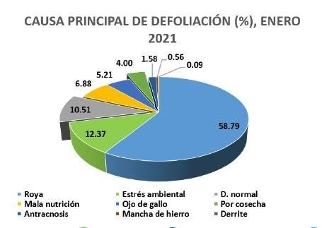 Figura 2