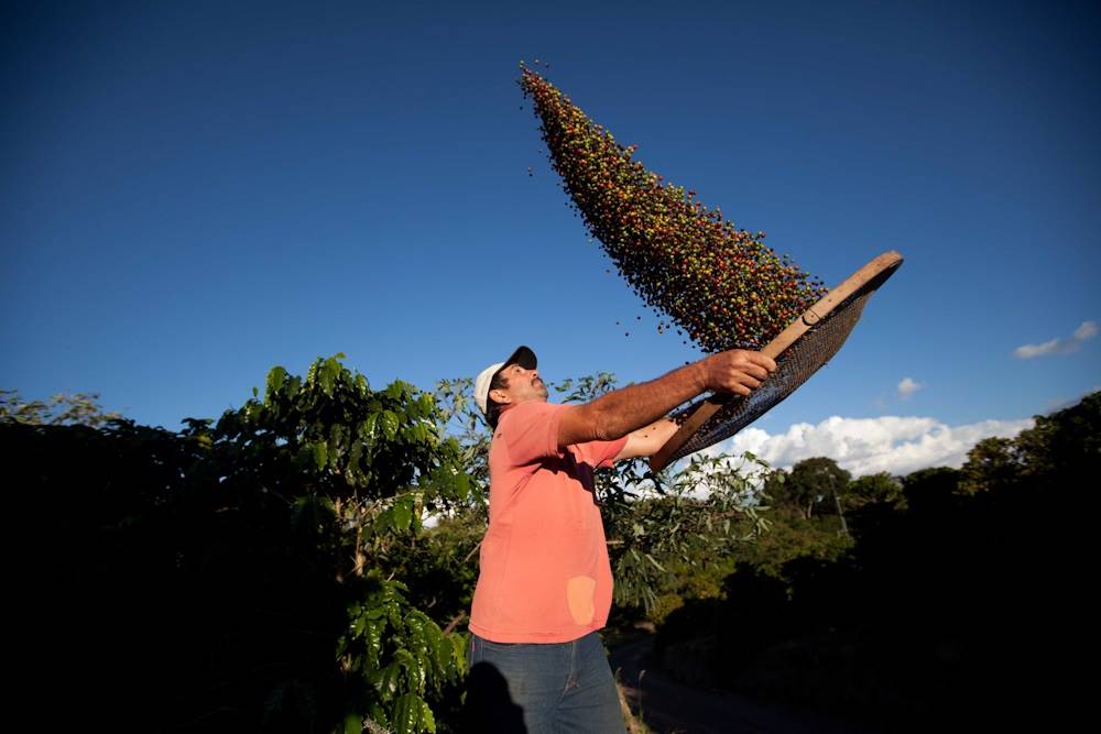 Foto: Érico Hiller/ Café Editora