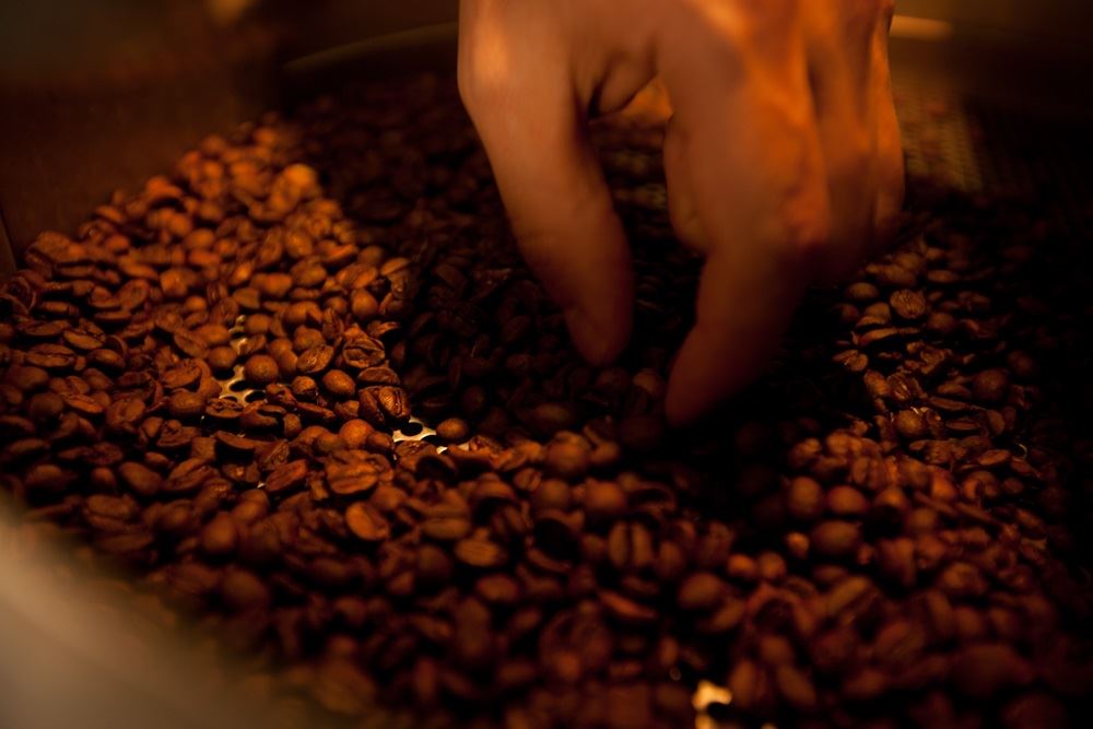 Foto: Érico Hiller/ Café Editora.