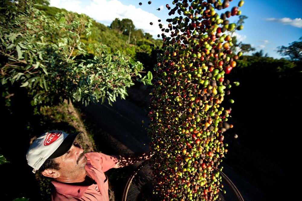 Foto: Érico Hiller/ Café Editora