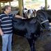 Paulo C. F. Natividade
